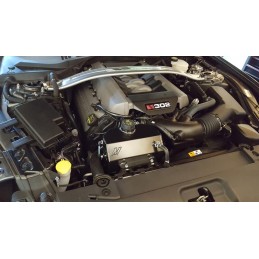 Black Aluminum Coolant Reservoir Ford Mustang 15-23