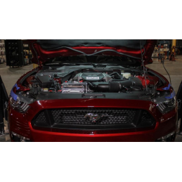 Réservoir noir de liquide de refroidissement en aluminium Ford Mustang 15-23