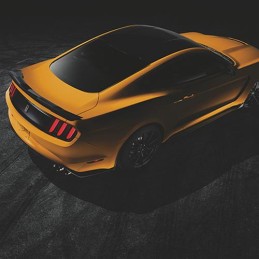 Rear Spoiler Racing with Gurney Flap FPP Ford Mustang 15-22
